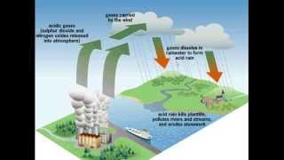 Acid rain for iGCSE Biology [upl. by Finbar]