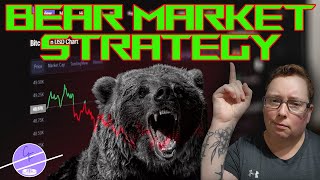 Surviving the Crypto Bear Market Tactical Strategies Revealed [upl. by Ecienal]