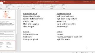 video 7 endocrine system thyroid parathyroid pineal gland [upl. by Meri931]