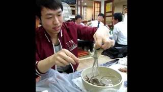 Korean eating living Octopus San Nakji 산낙지 [upl. by Aicilev]