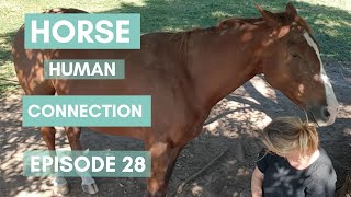 Horse Human Connection Ep28 [upl. by Seldon802]