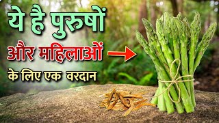 शतावरी के फायदे  Satavari Benefits  Health Benefits For Male amp Female [upl. by Myrta]