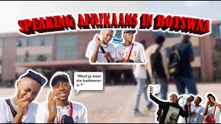 SPEAKING AFRIKAANS IN BOTSWANA🇧🇼 they didn’t understand us😱 FT MapsThosago  Hlaxx Mashaba [upl. by Courtney]