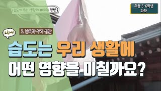 초등 과학 52 3 날씨와 우리 생활  2차시 습도는 우리 생활에 어떤 영향을 미칠까요 [upl. by Olmsted]