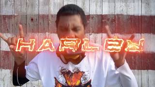 Orrin  HARLEY Official Music Video [upl. by Trauner]