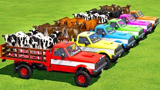 TRANSPORTING COWS WITH TLX NEW CARS amp SCANIA TRUCKS  Farming Simulator 22 [upl. by Swart]