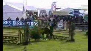 Highland Show Working Hunter [upl. by Giarla]