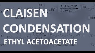 CLAISEN CONDENSATION ETHYL ACETOACETATE ncchem [upl. by Fugazy60]