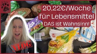 SPAREN extrem günstiger Wocheneinkauf 2022€ 🥳 PERFEKT foodhaul budgetplanung vlog minimalist [upl. by Ytoc]