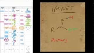 An introduction to nitrogen based functional groups [upl. by Simah]