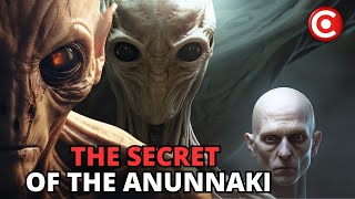 The HIDDEN TRUTH of the Anunnaki  The LOST BOOKS of Enki  Documentary [upl. by Natalia574]