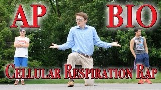 Cellular Respiration Rap [upl. by Naujed759]