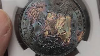 Graded Tone Morgan Silver Dollars [upl. by Adnat]