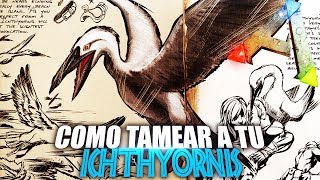 COMO TAMEAR A TU ICHTHYORNIS  Guia Español  Ark Survival Evolved [upl. by Yentirb]