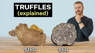 Why are Truffles so expensive Are they worth it [upl. by Yblehs]