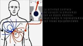 Explicación simple del electrocardiograma [upl. by Eremihc]