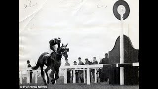 The BBC Grand National 1967  Foinavon Full Race [upl. by Suravat885]