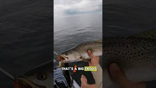 KAYAK FISHING For HUGE Trout [upl. by Wamsley]