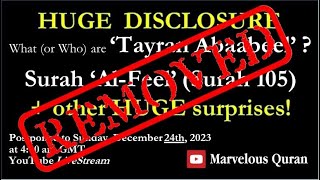 YT168 What or Who are Tayran Abaabeel Surah AlFeel 105 Other Huge Disclosures [upl. by Eulalia929]