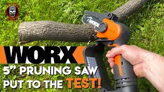 Using the Worx 20V 5quot Pruning Saw for the first time How powerful is it [upl. by Leuamme58]