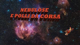 Nebulose e polli da corsa [upl. by Vasilis]