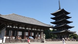 4K奈良寺社巡り2015  興福寺 Koufukuji templeNara Japan [upl. by Nya401]