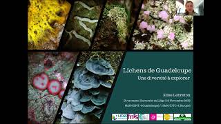 Webinaire quotLa tête dans les lichens de Guadeloupequot par Elise Lebreton [upl. by Leinto740]