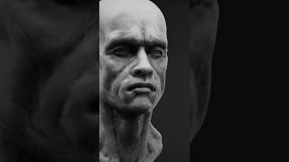 Sculpting a portrait likeness of Arnold Schwarzenegger [upl. by Hungarian]