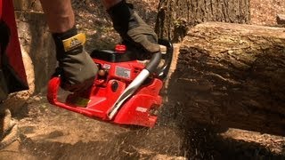 Chain Saw Buying Guide  Consumer Reports [upl. by Aneela530]