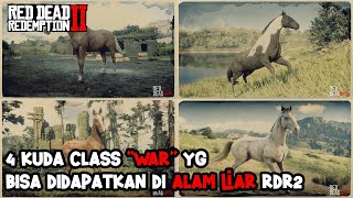 RDR2  TIPS RDR2  4 KUDA CLASS quotWARquot YG BISA DIDAPATKAN DI ALAM LIAR RDR2 [upl. by Poirer]