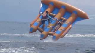 flying fish in bali indonesia [upl. by Nonek]