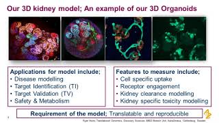 Generation and application of 3Dorganoid cell culture models using human induced [upl. by Oliva]