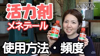 活力剤 メネデール 使用方法 使い方 頻度 100倍に薄める【おうちでガーデニング】開花園チャンネル [upl. by Ailongam504]