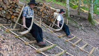 Dangerous but Genius Sliding Technique They Use to Transport Tons of Wood [upl. by Levitt]