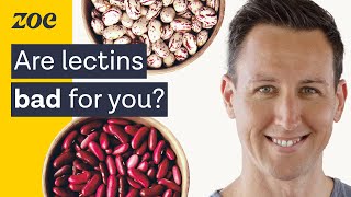 The surprising truth about lectins  Dr Will Bulsiewicz [upl. by Ahsiuqram]