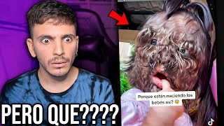 ¡5 videos MISTERIOSOS que no te DEJARAN DORMIR del TERROR [upl. by Lotsyrk]