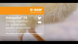 Natupulse® TS  Driving digestion with diverse modes of action [upl. by Noy]