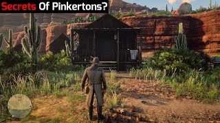 What Happens If You Visit Pinkerton Edgar Ross House in Red Dead Redemption 2 [upl. by Lamrert96]