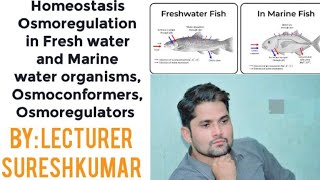 Homeostasis Osmoregulation in fresh marine organisms Osmoconformers Osmoregulator HindiUrdu Sir SK [upl. by Bowra]