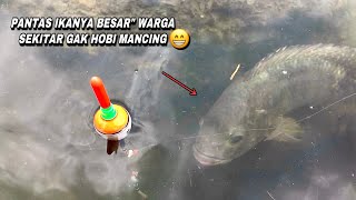 Mancing di sungai liar yang di huni ikan besar langsung masak di tempat bikin ngiler [upl. by Enayd381]