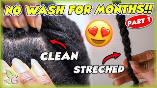 Clean and Stretched hair for MONTHS – NO WASHING part 1 [upl. by Etnwahs]