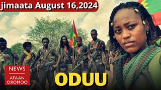 BBC ODUU AFAAN OROMOO  jimaata August 162024  Oromo News  Daily Ethiopia news today OLA WBO [upl. by Soni]