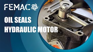 FEMAC  SOSTITUZIONE PARAOLIO MOTORI GR3  OILSEALS REPLACEMENT GR3 MOTORS [upl. by Wallache107]