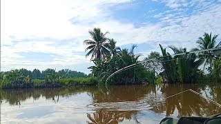 MENAKJUBKAN IKAN SEBESAR INI ADA DI ANAK SUNGAI [upl. by Dnomasor]