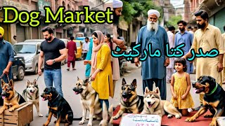 Latest Saddar Dogs Market Karachi Pakistan  Kutta Market  Kohat Dog  12 May 2024 babapetsinfo [upl. by Kendal]