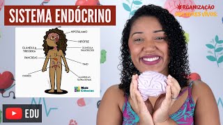 Aula Sistema Endócrino Ep 9 [upl. by Edeline]