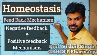 Homeostasis Negative Feedback and Positive Feedback Mechanism [upl. by Whyte322]