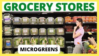 Getting Your Microgreens Into Grocery Stores What You Need To Know FIRST [upl. by Oiratnom187]