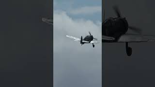 ▲ Curtiss P36 75A1 Hawk Click above for full video [upl. by Ehrlich891]