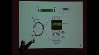 Applicazione della terapia genica nella retinite pigmentosa  Dott Enrico Maria Surace [upl. by Yuk]